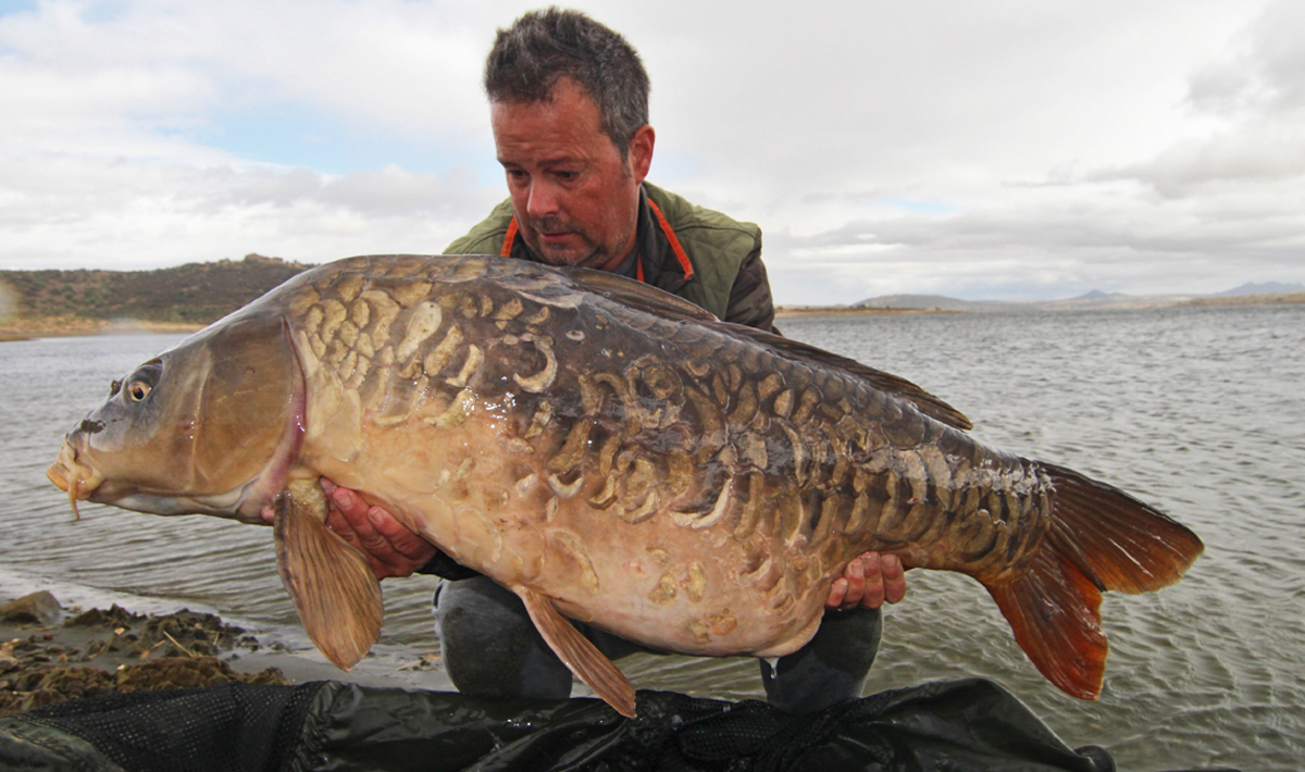 Karper Orellana Extremadura Spanje Karpervissen Karper Orellana Spanje