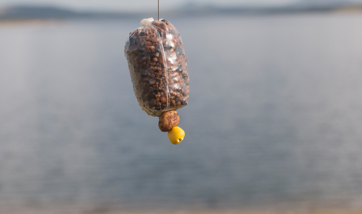 Sfeer Orellana Extremadura Spanje Karpervissen Sfeer Extremadura Spanje
