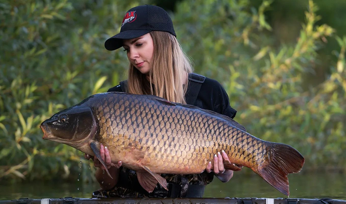 Karpers Medenice Carplake Karpervissen In Karpers Medenice Carplake