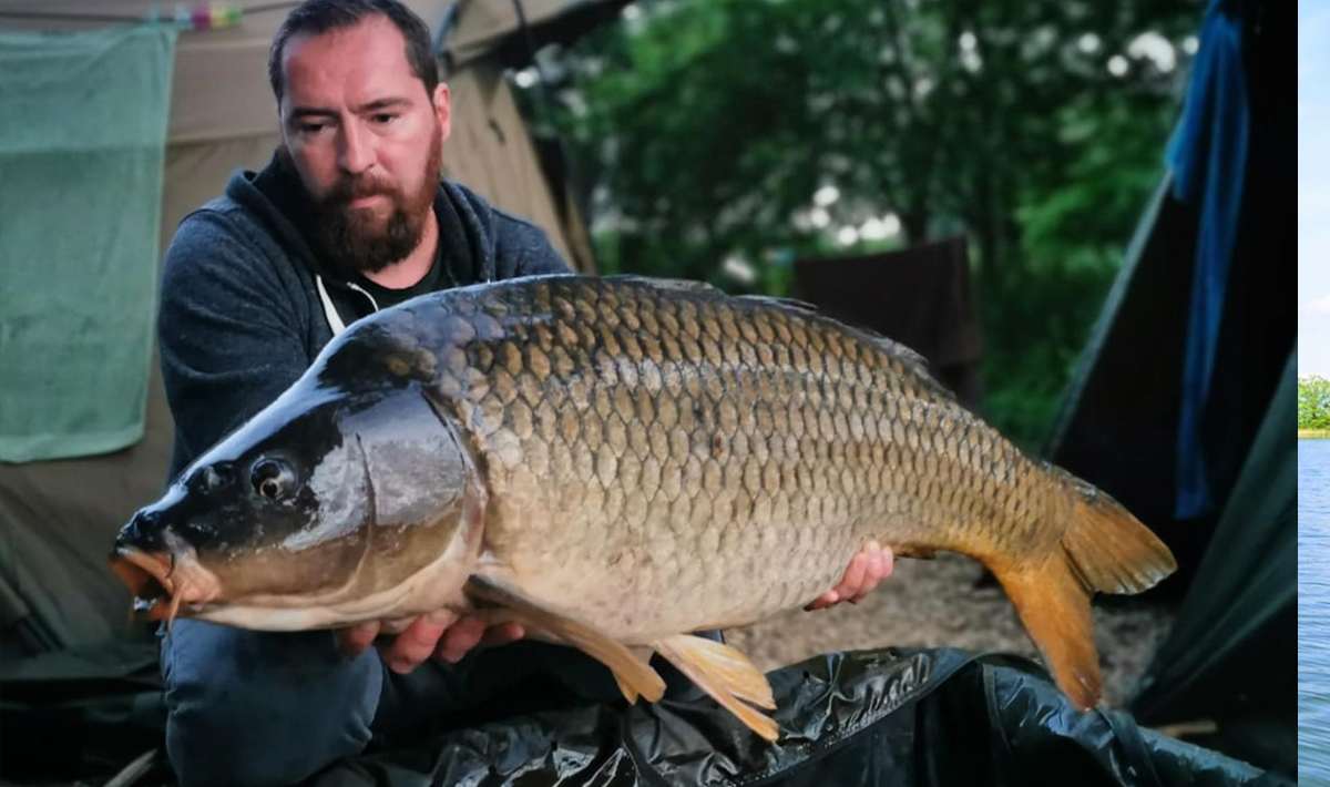 Karpers Medenice Carplake Karpervissen In Karpers In Tsjechie