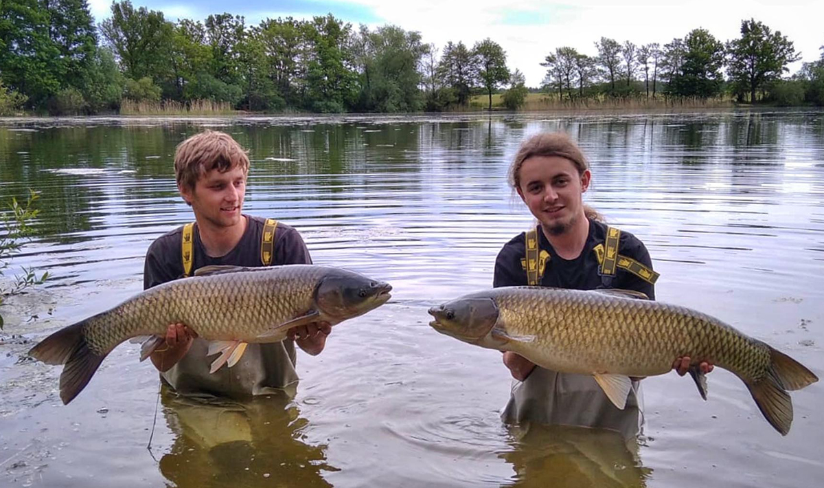 Karpers Medenice Carplake Karpervissen In Medenice Karpervissen Tsjechie