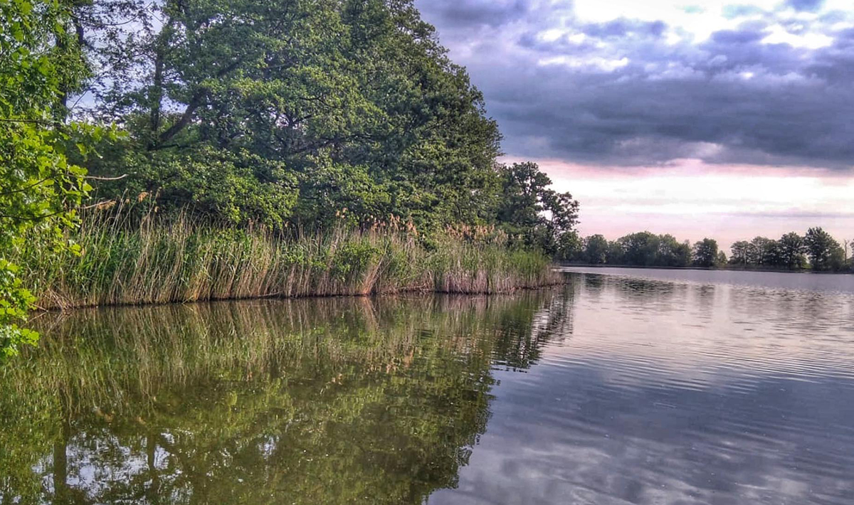 Sfeer Medenice Carplake Karpervissen In Sfeer Medenice Carplake