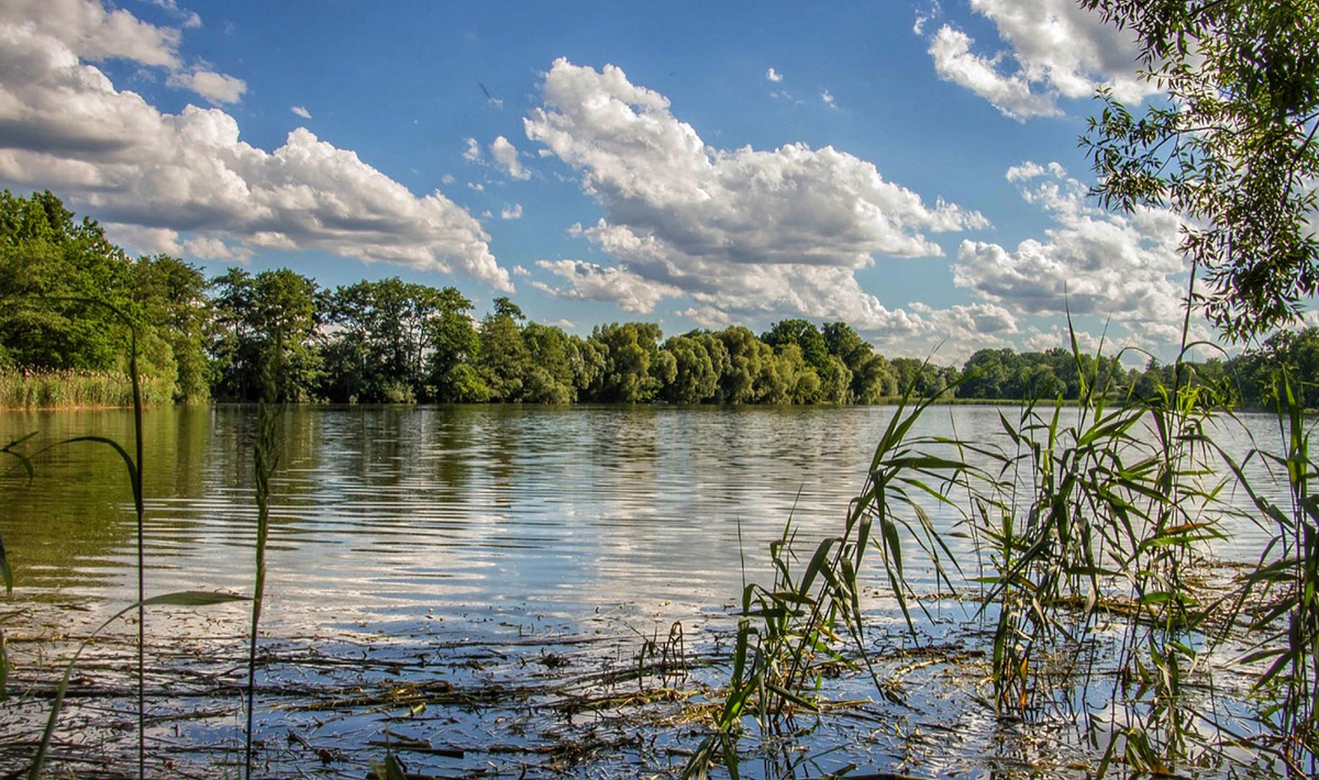 Sfeer Medenice Carplake Karpervissen In Sfeer Carplake Tsjechie