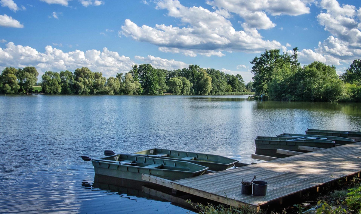 Sfeer Medenice Carplake Karpervissen In Sfeer Medenice Tsjechie