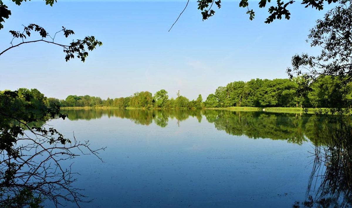 Sfeer Medenice Carplake Karpervissen In Medenice Carplake Karpervissen