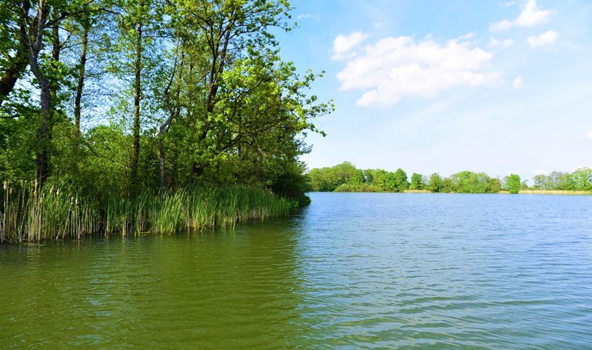 Sfeer Medenice Carplake Karpervissen In Sfeer Karpervissen Tsjechie