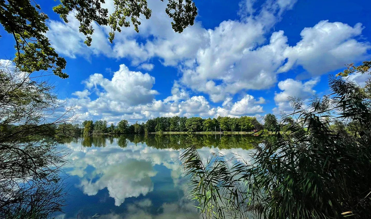 Sfeer Medenice Carplake Karpervissen In Sfeer Karpervissen Tsjechie