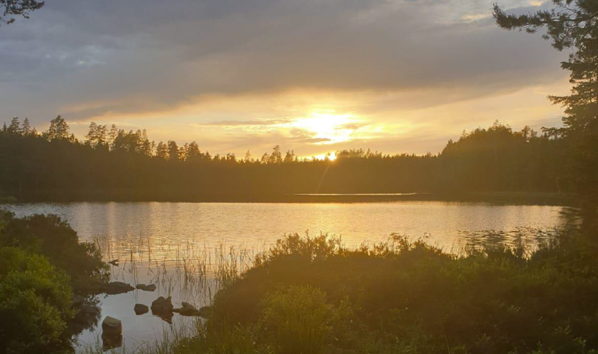 Sfeer Roofvissen Zweden Varmland 2 Roofvissen Zweden Varmland
