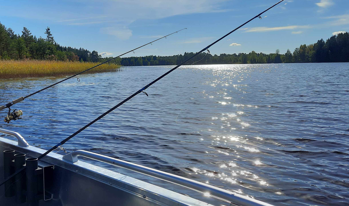 Sfeer Roofvissen Zweden Varmland 3 Sfeer Varmland 3